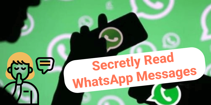 WhatsApp: How to see the message sent by a contact without them knowing