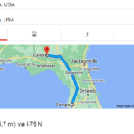 How far is cairo georgia from tampa florida
