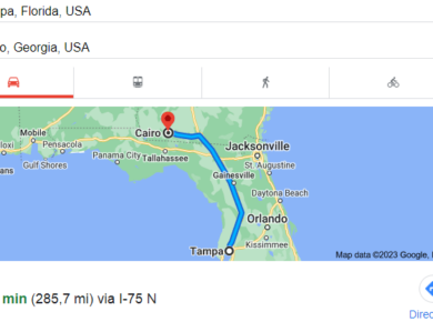 How far is cairo georgia from tampa florida